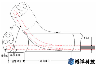 內窺鏡管端部結構示意圖